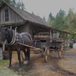 Ride in a horse-drawn carriage, Pioneer Farm, Eatonville, WA